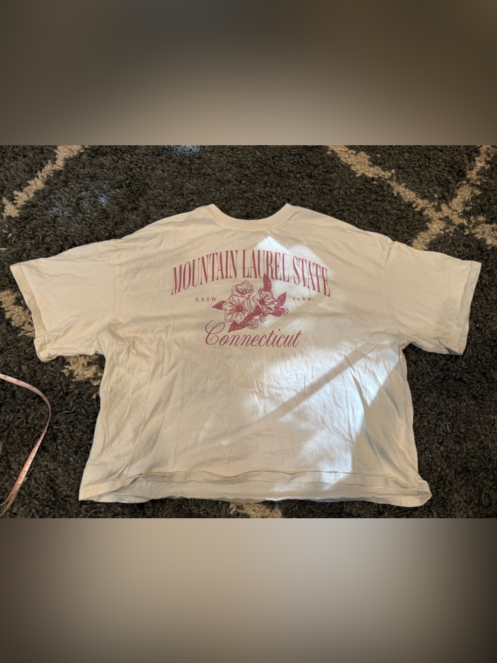 Connecticut graphic t shirt size medium EUC